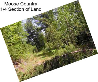 Moose Country 1/4 Section of Land