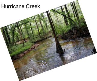 Hurricane Creek