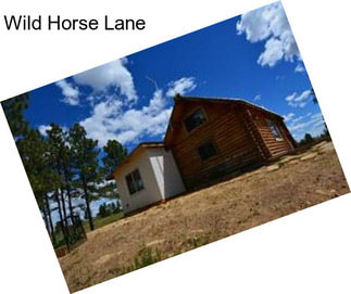 Wild Horse Lane