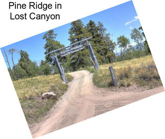 Pine Ridge in Lost Canyon