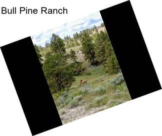 Bull Pine Ranch