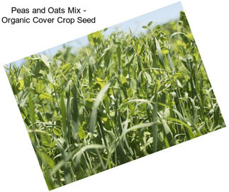 Peas and Oats Mix - Organic Cover Crop Seed