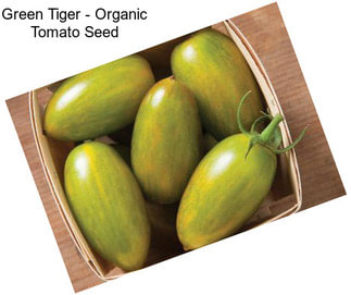 Green Tiger - Organic Tomato Seed