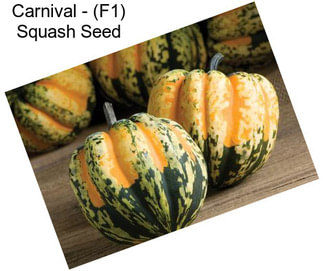 Carnival - (F1) Squash Seed