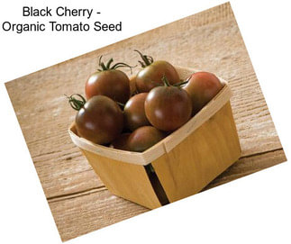 Black Cherry - Organic Tomato Seed