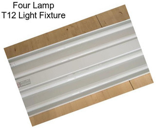 Four Lamp T12 Light Fixture