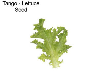 Tango - Lettuce Seed
