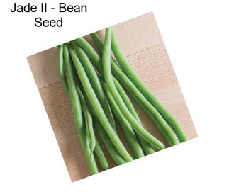 Jade II - Bean Seed