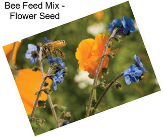 Bee Feed Mix - Flower Seed