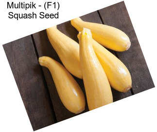 Multipik - (F1) Squash Seed