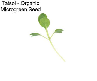 Tatsoi - Organic Microgreen Seed