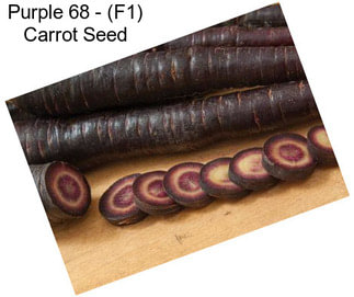 Purple 68 - (F1) Carrot Seed