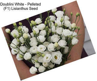 Doublini White - Pelleted (F1) Lisianthus Seed