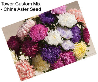 Tower Custom Mix - China Aster Seed