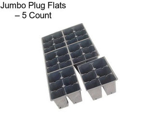 Jumbo Plug Flats – 5 Count