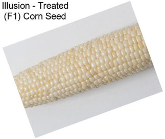 Illusion - Treated (F1) Corn Seed