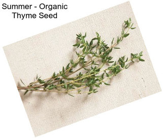 Summer - Organic Thyme Seed