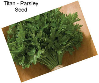 Titan - Parsley Seed