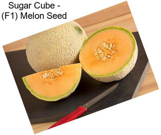 Sugar Cube - (F1) Melon Seed