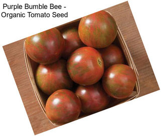 Purple Bumble Bee - Organic Tomato Seed