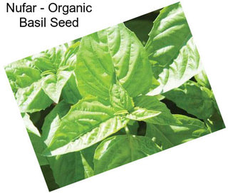 Nufar - Organic Basil Seed