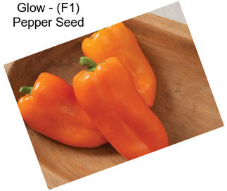 Glow - (F1) Pepper Seed