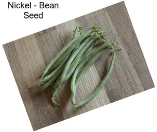 Nickel - Bean Seed