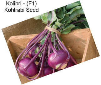 Kolibri - (F1) Kohlrabi Seed