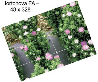 Hortonova FA – 48\