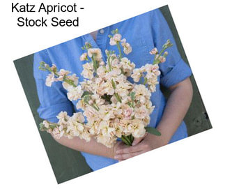 Katz Apricot - Stock Seed