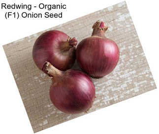 Redwing - Organic (F1) Onion Seed