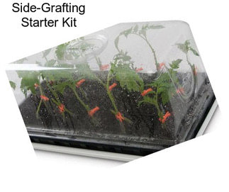 Side-Grafting Starter Kit