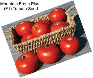 Mountain Fresh Plus - (F1) Tomato Seed