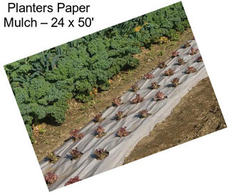 Planters Paper Mulch – 24\
