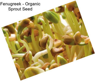 Fenugreek - Organic Sprout Seed