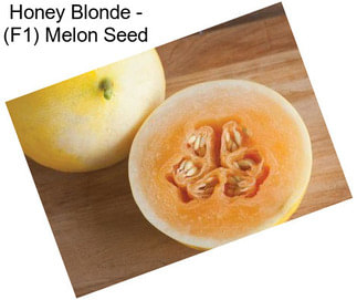 Honey Blonde - (F1) Melon Seed