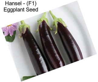 Hansel - (F1) Eggplant Seed