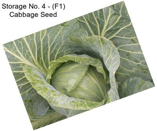 Storage No. 4 - (F1) Cabbage Seed