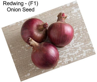 Redwing - (F1) Onion Seed