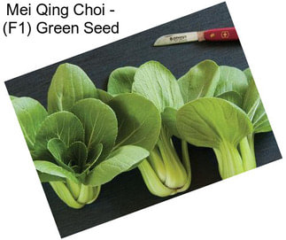 Mei Qing Choi - (F1) Green Seed