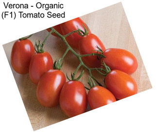 Verona - Organic (F1) Tomato Seed