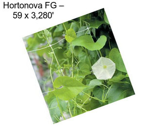 Hortonova FG – 59\