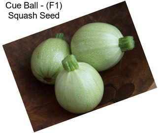 Cue Ball - (F1) Squash Seed