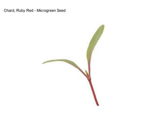 Chard, Ruby Red - Microgreen Seed