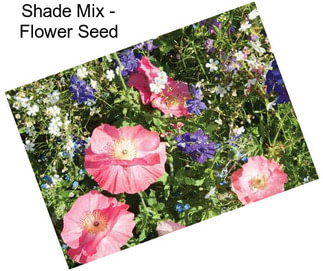 Shade Mix - Flower Seed