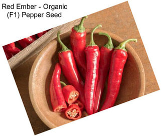 Red Ember - Organic (F1) Pepper Seed