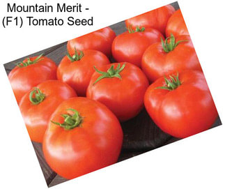 Mountain Merit - (F1) Tomato Seed