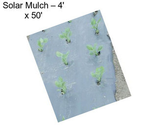 Solar Mulch – 4\' x 50\'