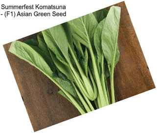 Summerfest Komatsuna - (F1) Asian Green Seed