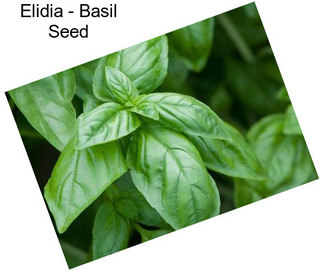 Elidia - Basil Seed